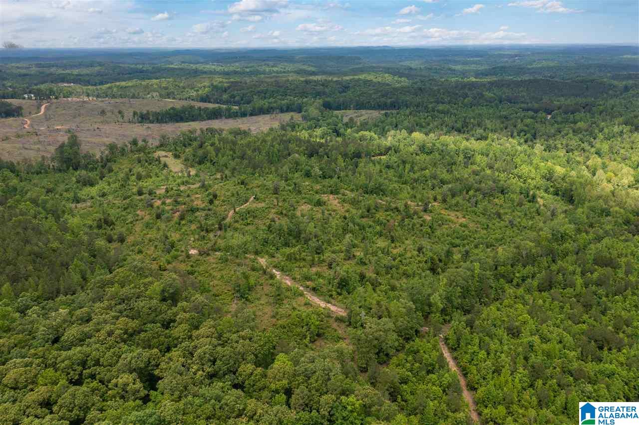 5936 Montevallo Road Centreville, AL 35042 - Photo 28 of 35