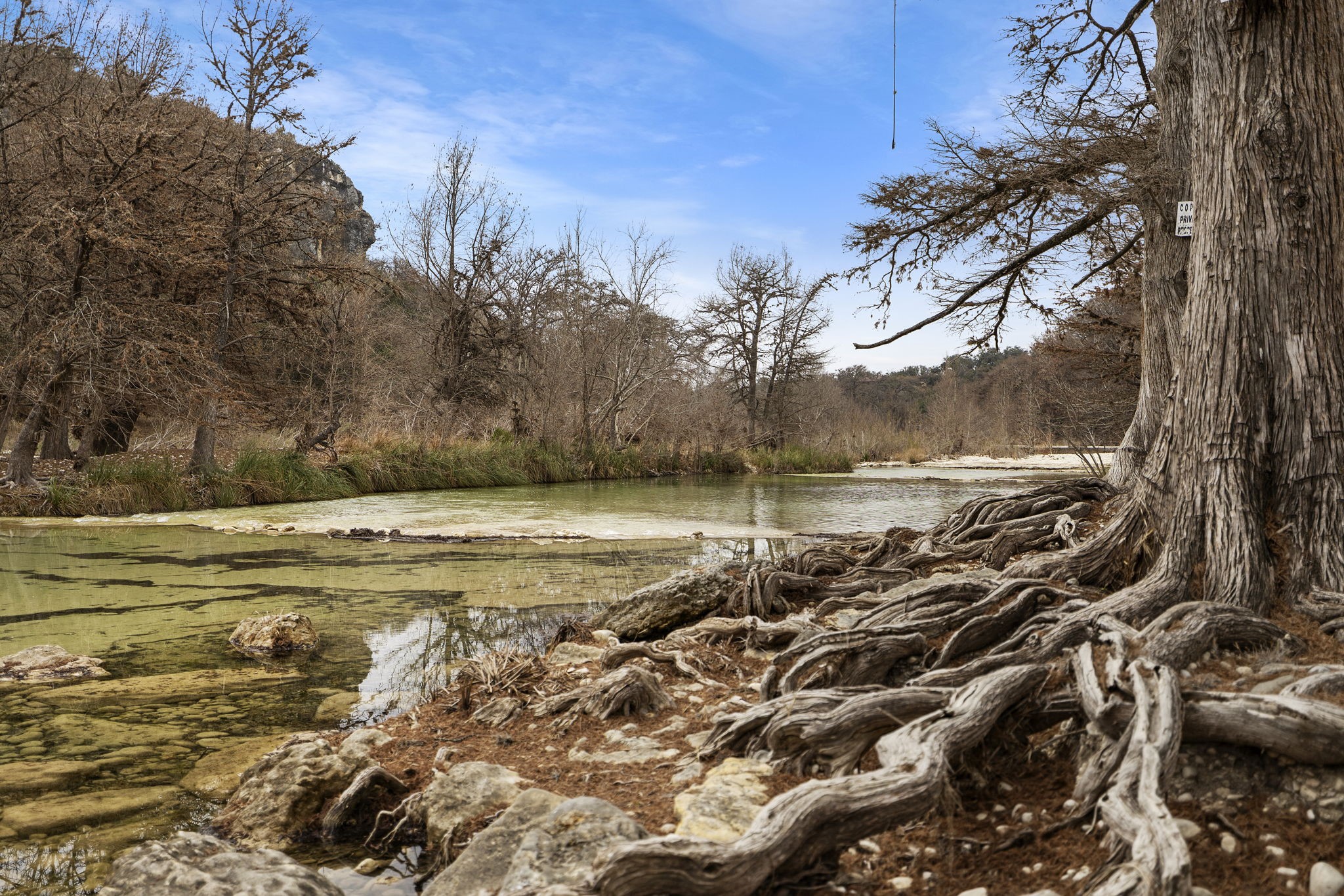 117 Cedar Rdg Lane Concan, TX 78838 - Photo 1 of 38 a view of a yard with an outdoor space