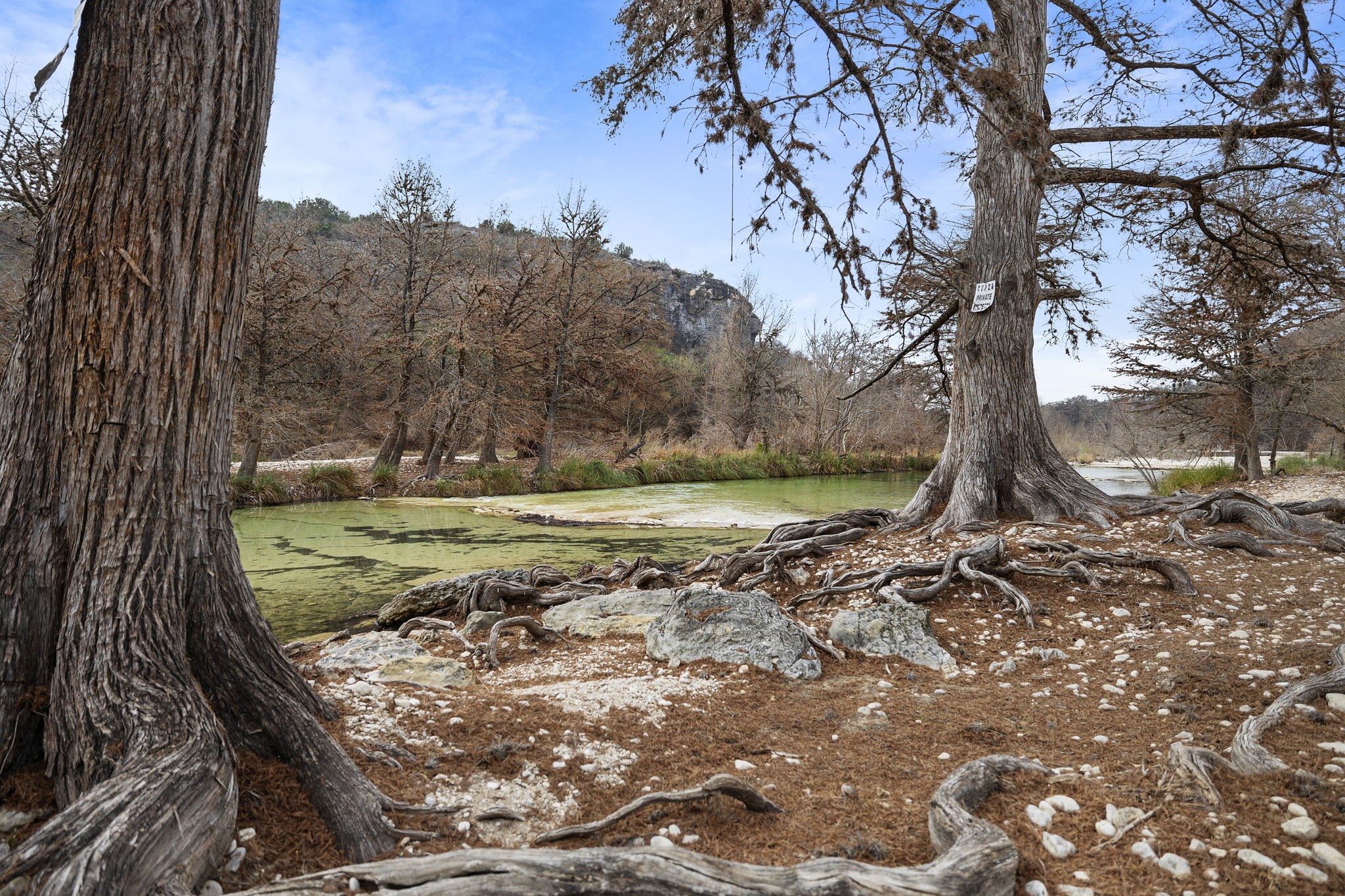 117 Cedar Rdg Lane Concan, TX 78838 - Photo 35 of 38 a view of a yard with a tree