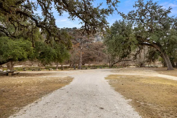 a view of a yard with a tree