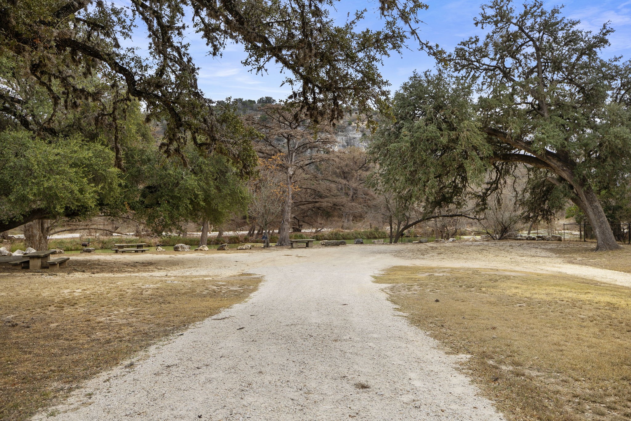 117 Cedar Rdg Lane Concan, TX 78838 - Photo 37 of 38 a view of a yard with a tree