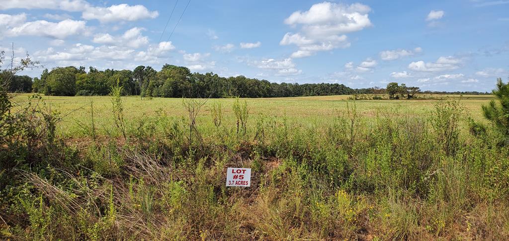 3.7-acre 3.7-acre Singletary Road Dothan, AL 36301 - Photo 1 of 1