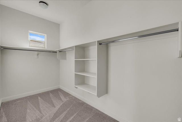 691 Rainier Drive St. George, UT 84770 - Photo 7 of 24 Walk in closet featuring light carpet