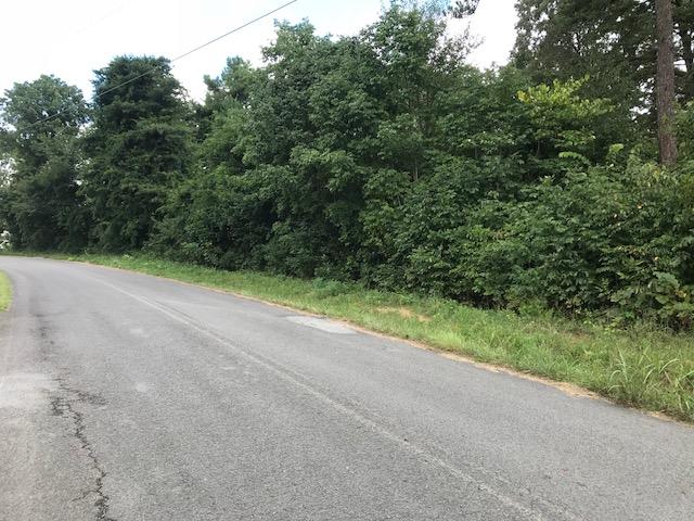 0 Bicentennial Trail, Unit 13 Rock Spring, GA 30739 - Photo 2 of 5 pic