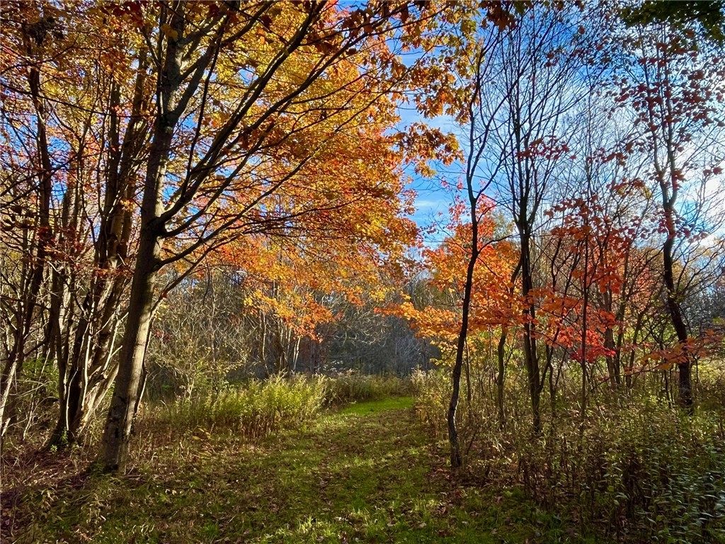 98 Nys Route Franklinville, NY 14737 - Photo 1 of 49 Gallery Image 1