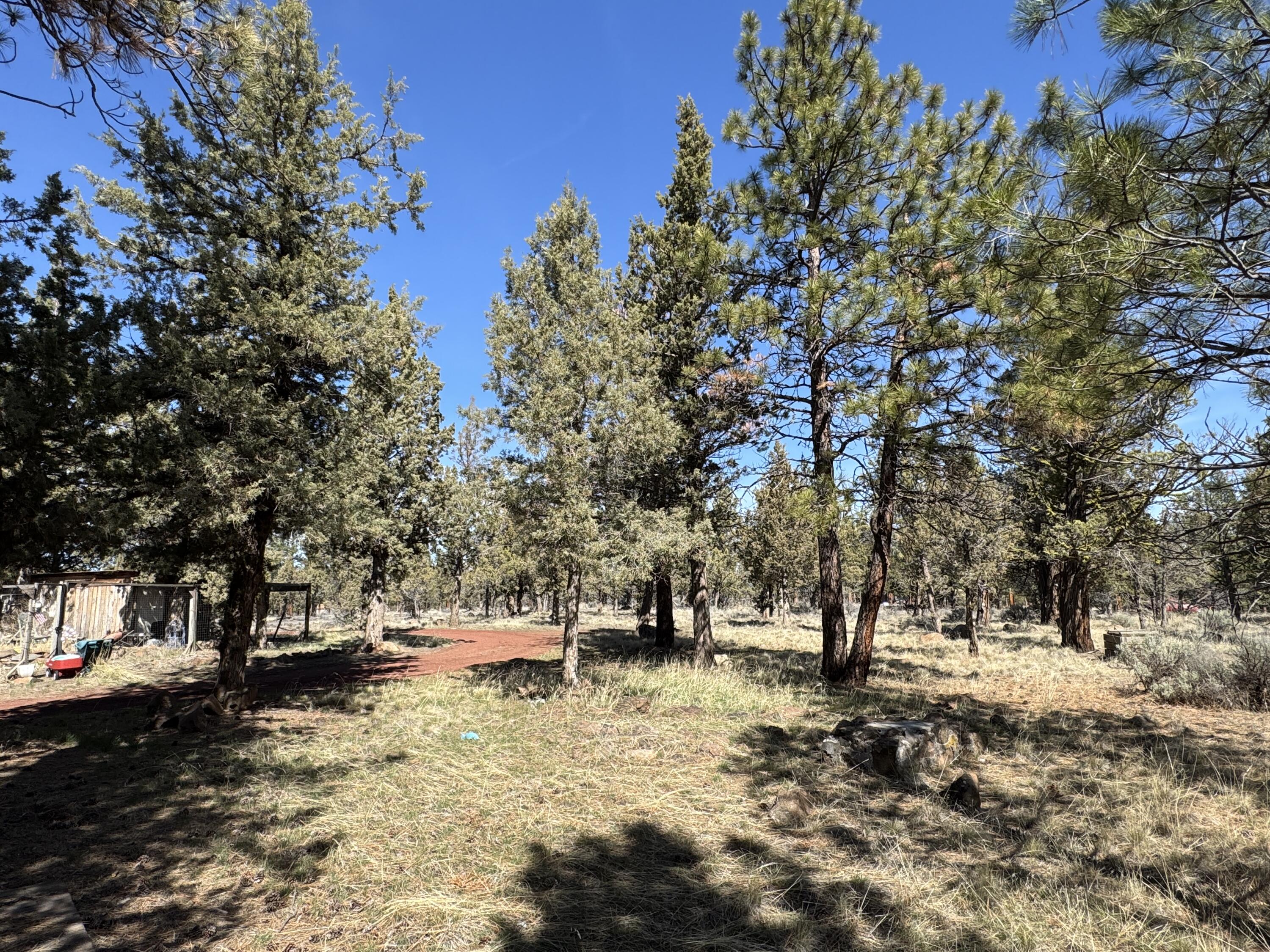 69580 Pine Ridge Drive Sisters, OR 97759 - Photo 17 of 18