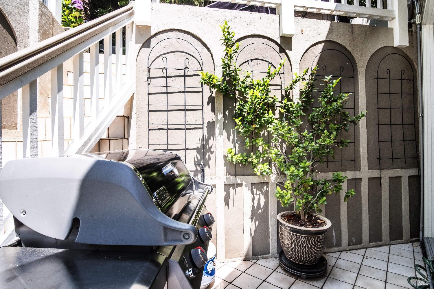 6 Oak Road Larkspur, CA 94939 - Photo 36 of 41 a view of a potted flower in a bathroom