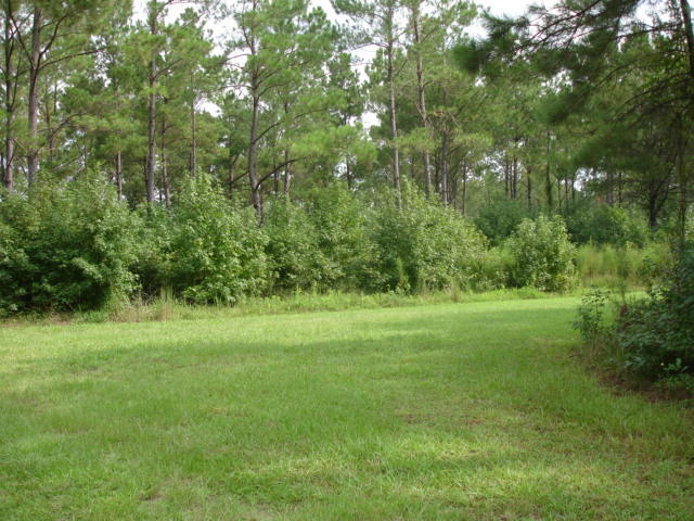 5545 Golden Rice Lane Ravenel, SC 29470 - Photo 1 of 12 Rice Hope - August (35).JPG