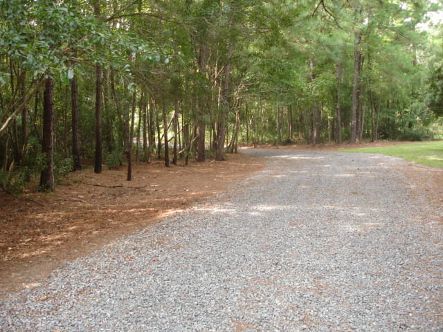5545 Golden Rice Lane Ravenel, SC 29470 - Photo 2 of 12 Rice Hope - August (16).JPG