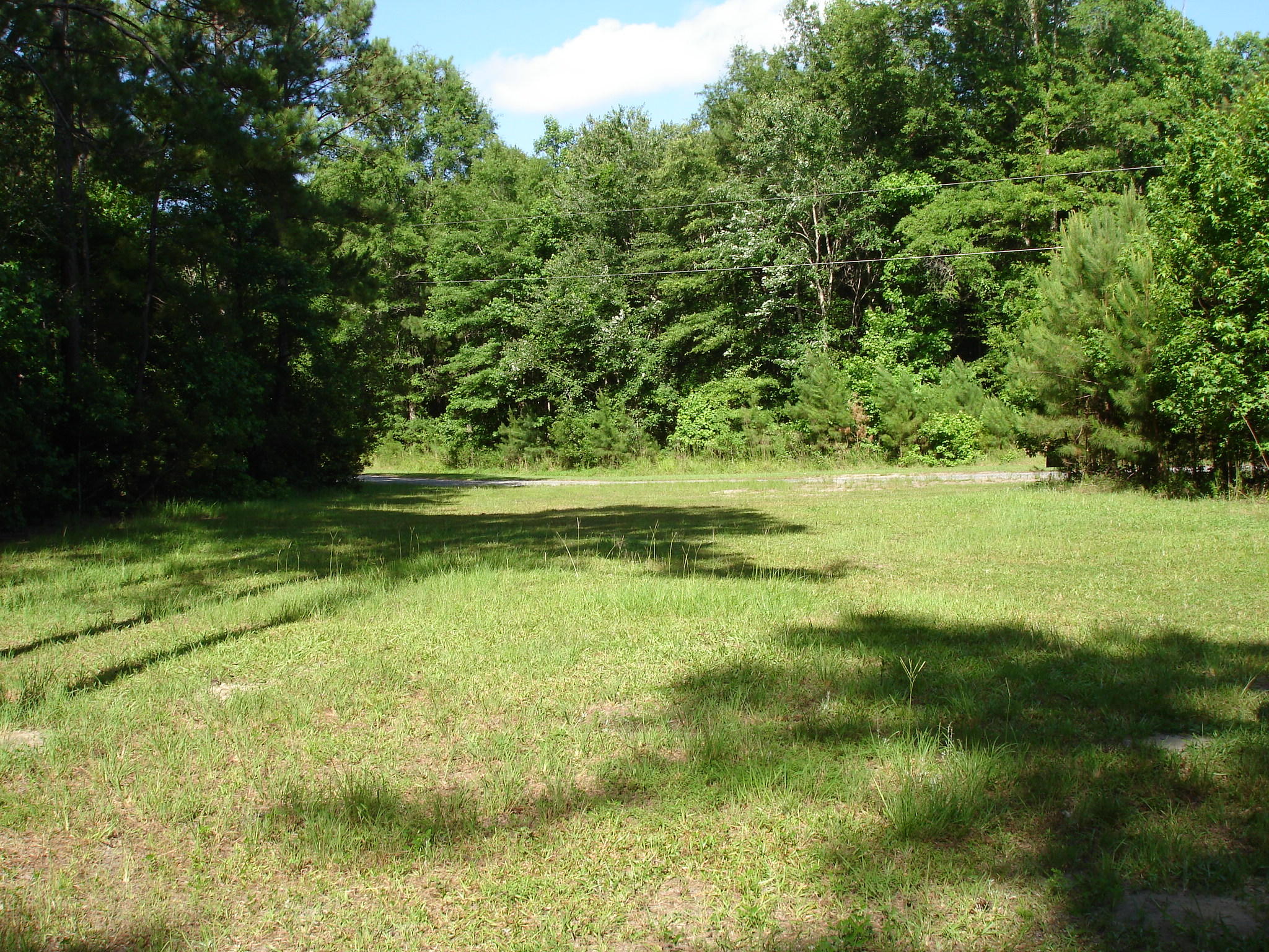 5545 Golden Rice Lane Ravenel, SC 29470 - Photo 11 of 12 Rice Hope lot 19 pictures (11) - Copy
