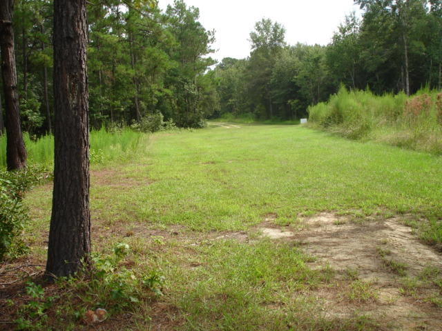 5545 Golden Rice Lane Ravenel, SC 29470 - Photo 4 of 12 Rice Hope - August (4).JPG