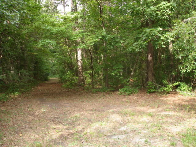5545 Golden Rice Lane Ravenel, SC 29470 - Photo 5 of 12 Rice Hope - August (3).JPG