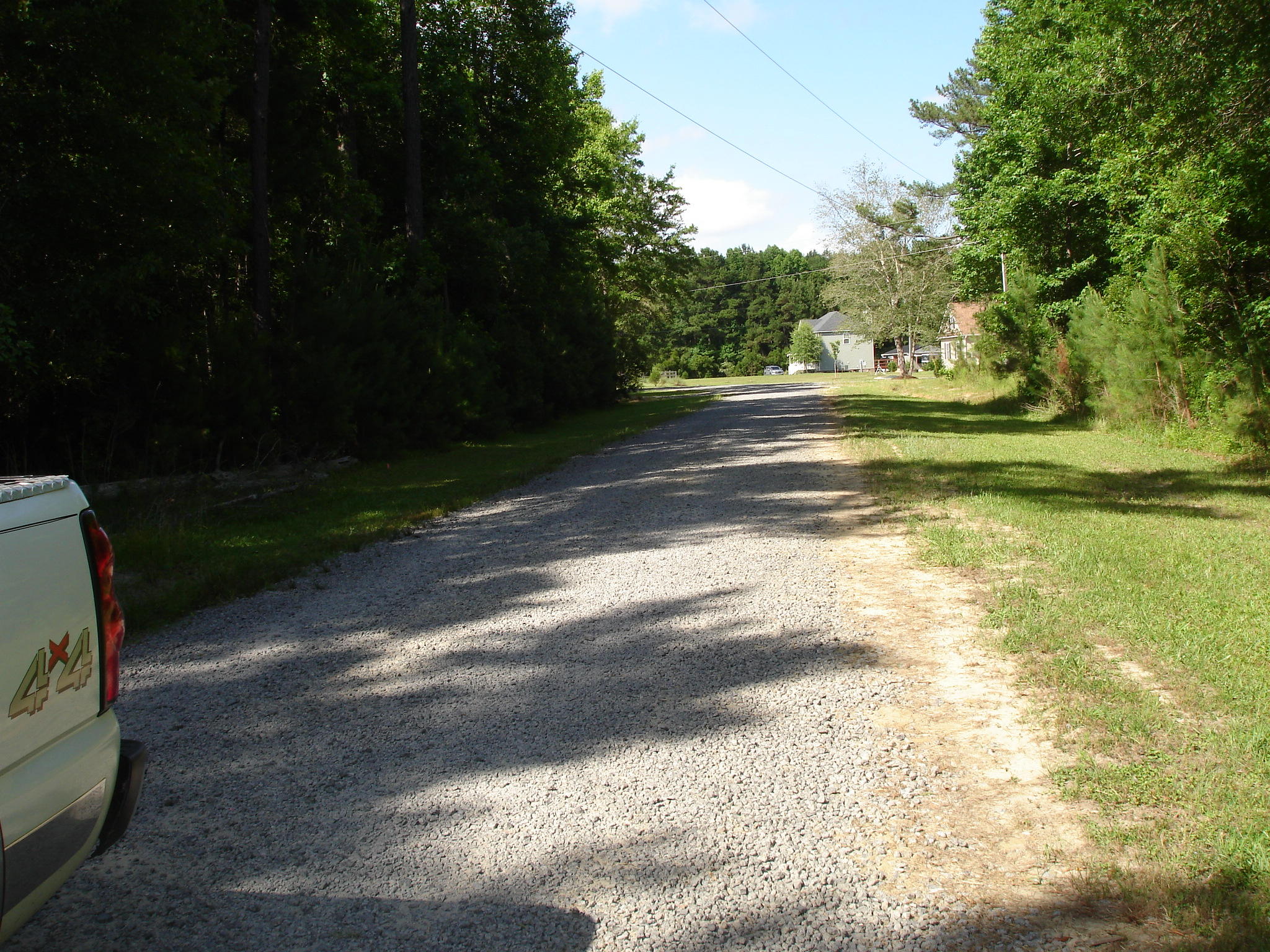 5545 Golden Rice Lane Ravenel, SC 29470 - Photo 10 of 12 Rice Hope lot 19 pictures (12) - Copy