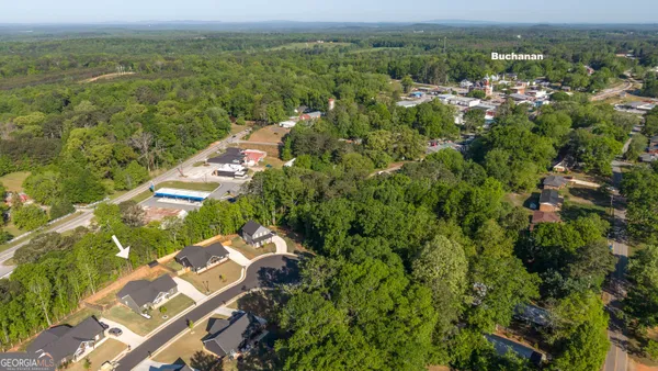 $325,000 | 153 Addie Jane Lane, Buchanan, GA 30113