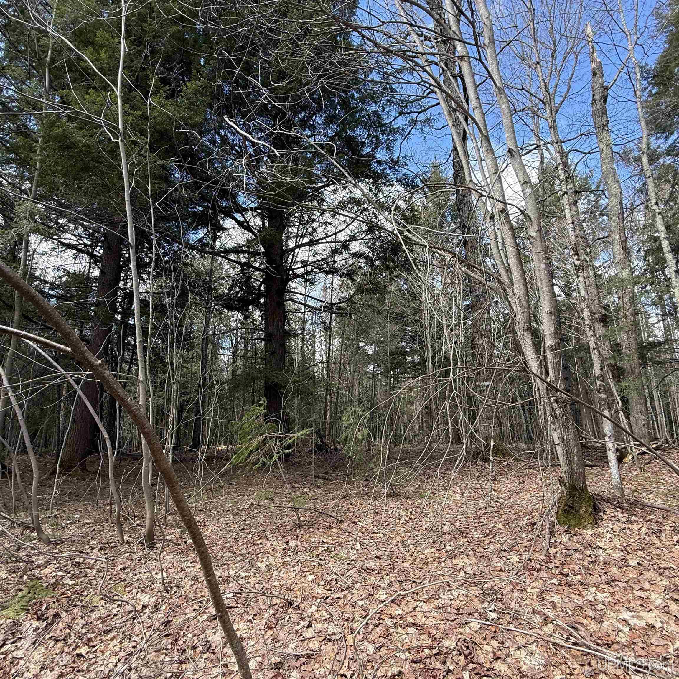 Off Black River Road Ironwood, MI 49938 - Photo 21 of 31