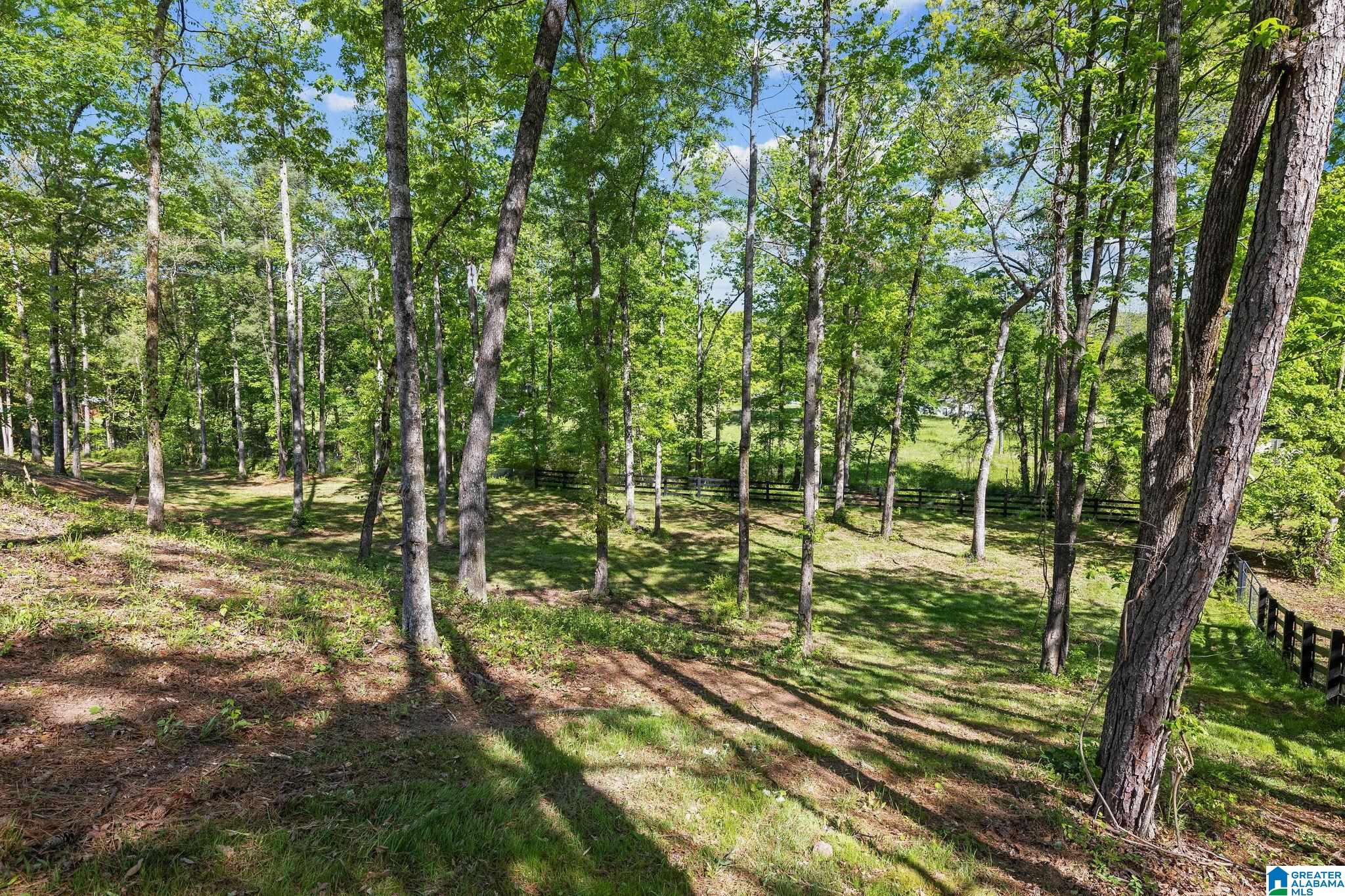 4213 Highway 36 Chelsea, AL 35043 - Photo 15 of 66