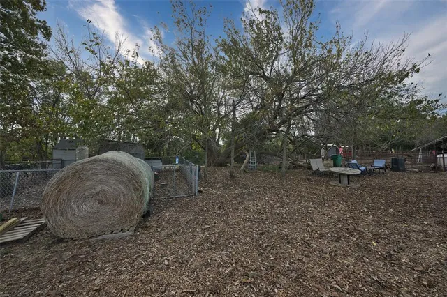 a view of a backyard with large trees