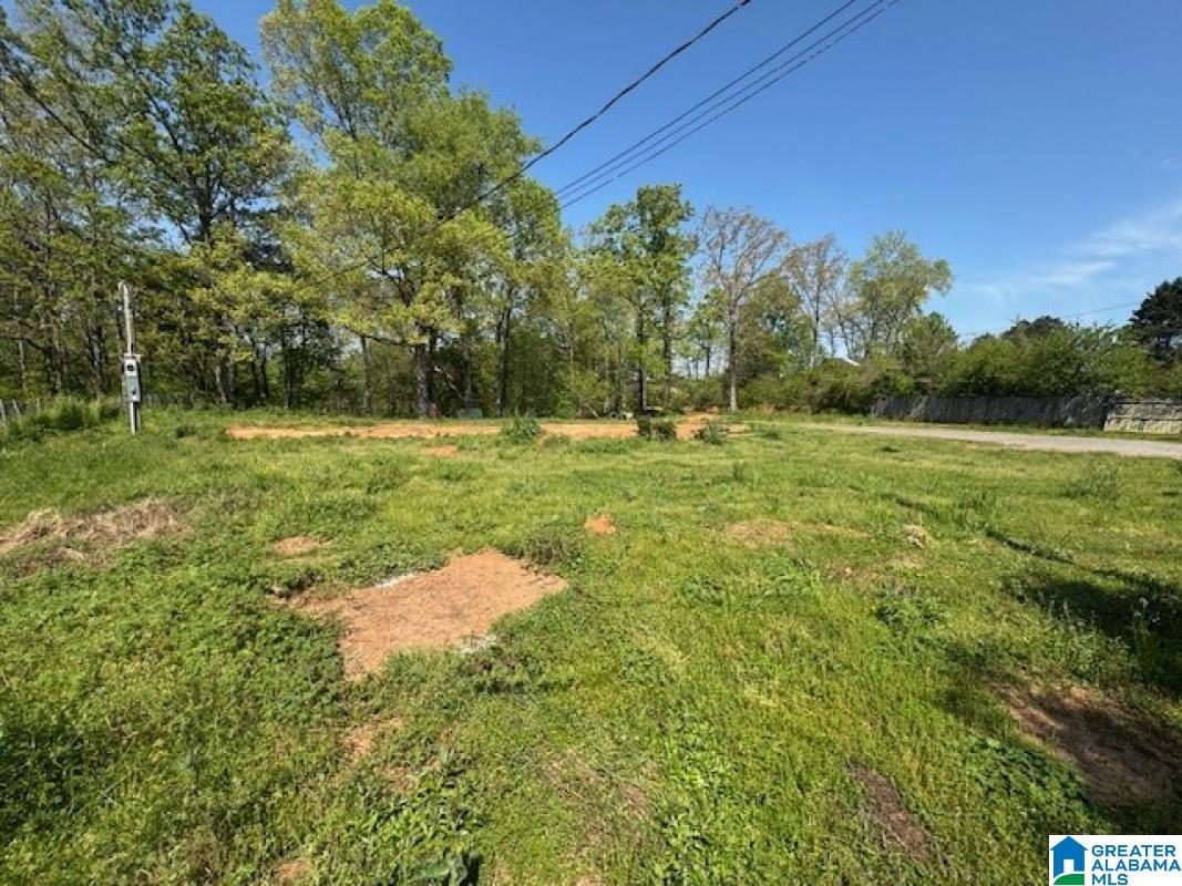 270 Double Oak Road Warrior, AL 35180 - Photo 3 of 5