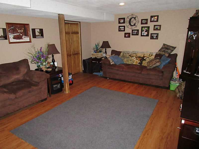 3306 Balsiger Road Apollo, PA 15613 - Photo 12 of 17 Basement/Game Room.