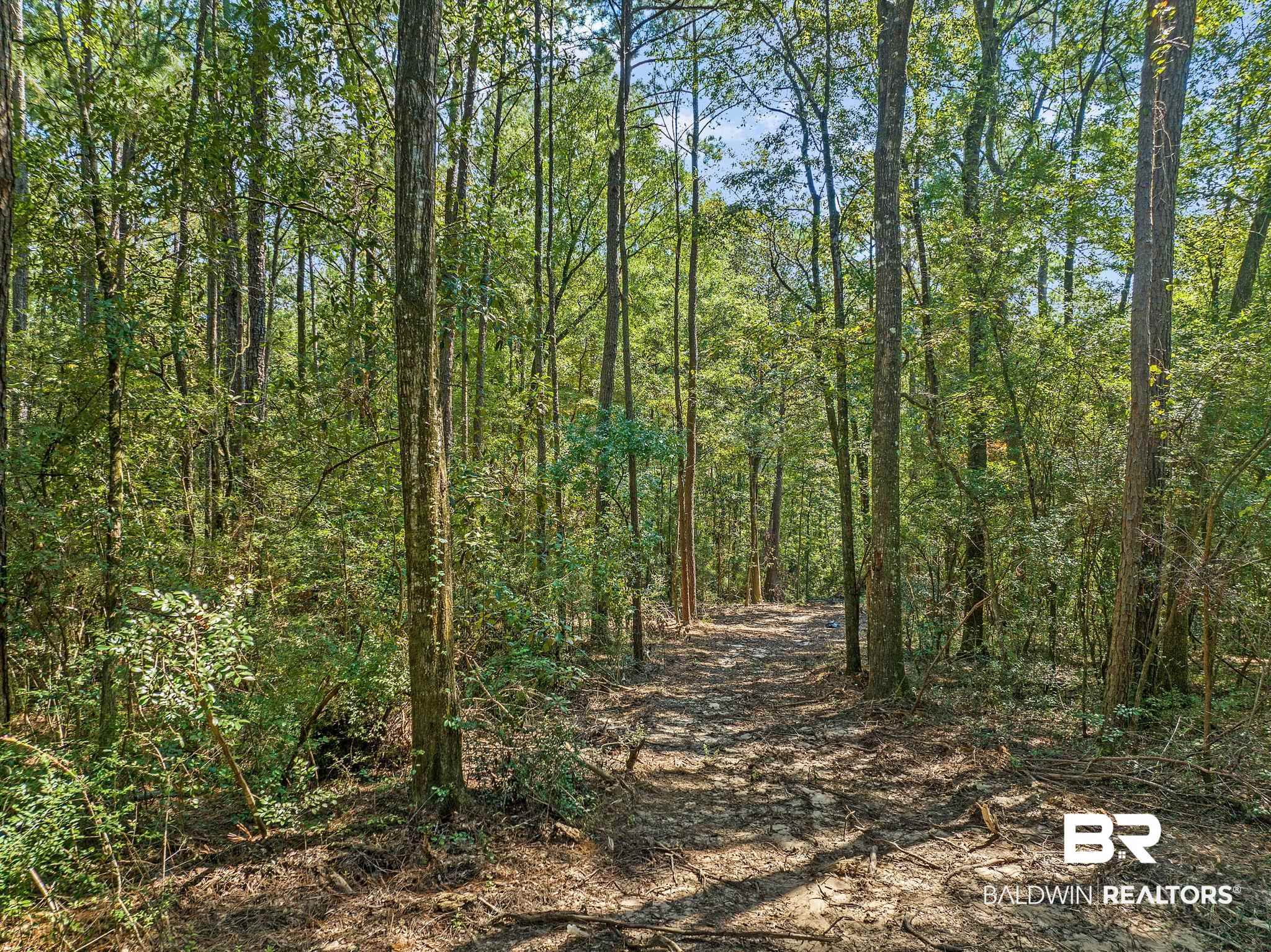 6917 Old Citronelle Road Eight Mile, AL 36613 - Photo 2 of 8