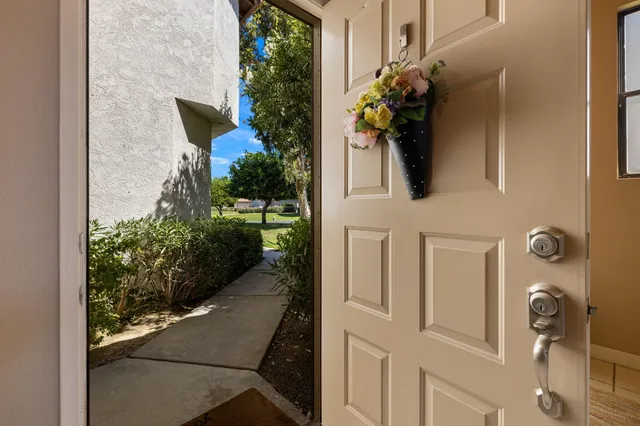 a view of a garden with a pathway