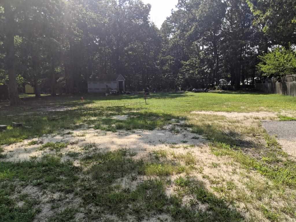 380 Perry Road Woodbine, NJ 08270 - Photo 17 of 19 a view of a yard with plants and trees