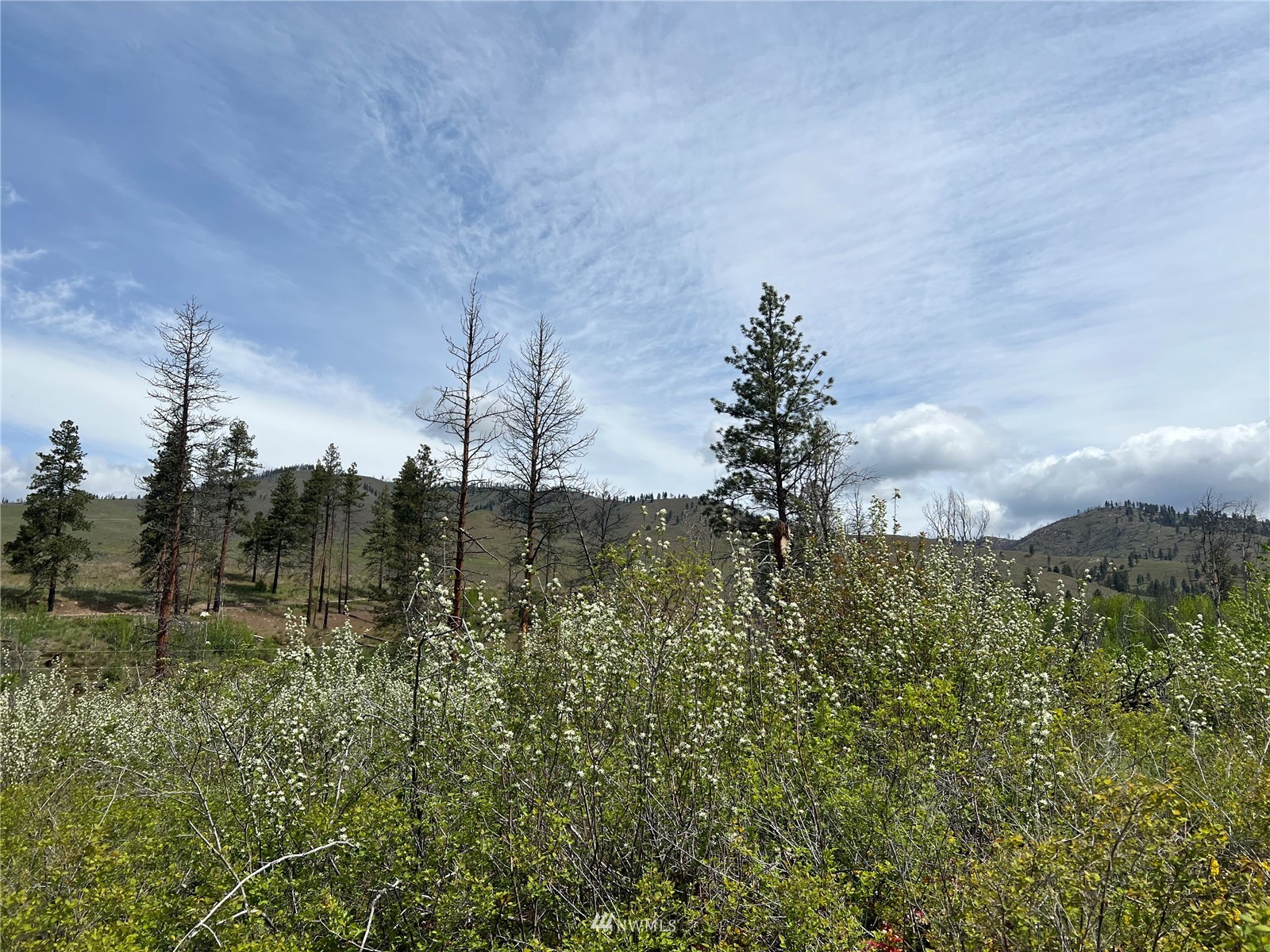 20870 State Rte 20 Twisp, WA 98856 - Photo 13 of 40 Gallery Image 13