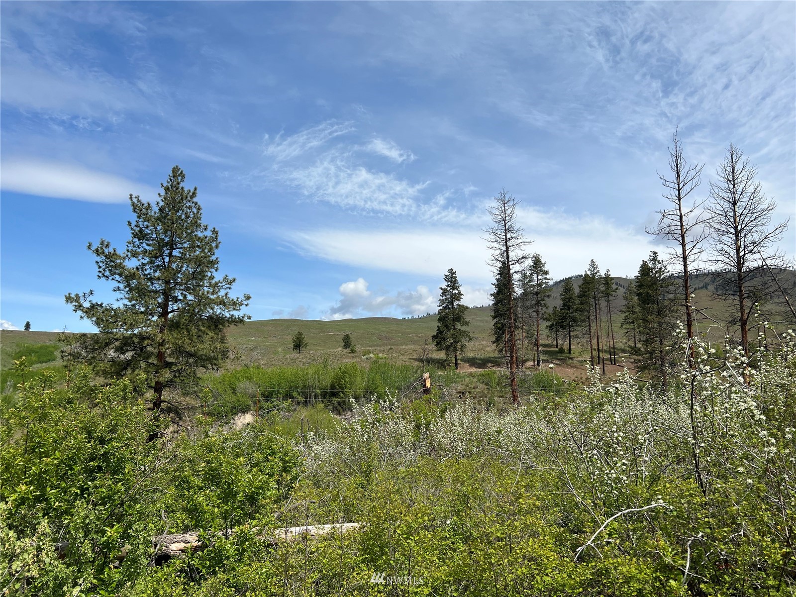 20870 State Rte 20 Twisp, WA 98856 - Photo 17 of 40 Gallery Image 17