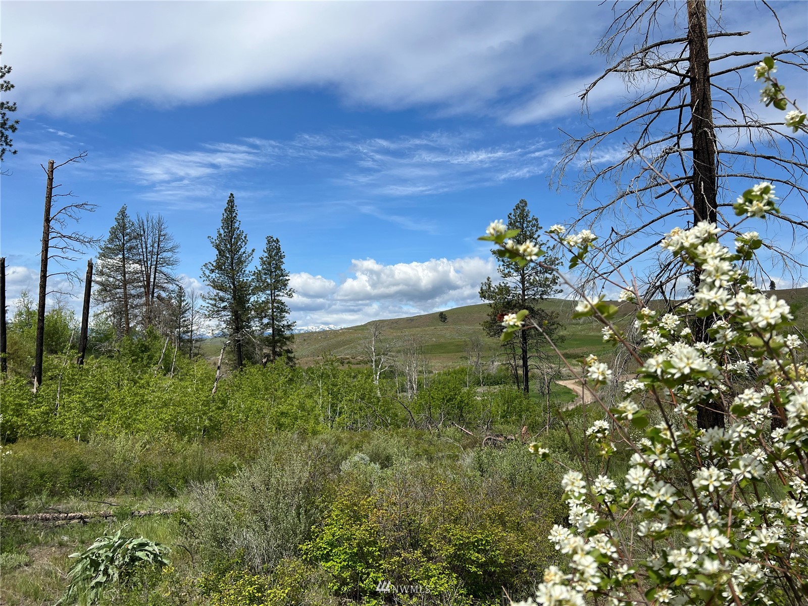 20870 State Rte 20 Twisp, WA 98856 - Photo 23 of 40 Gallery Image 23