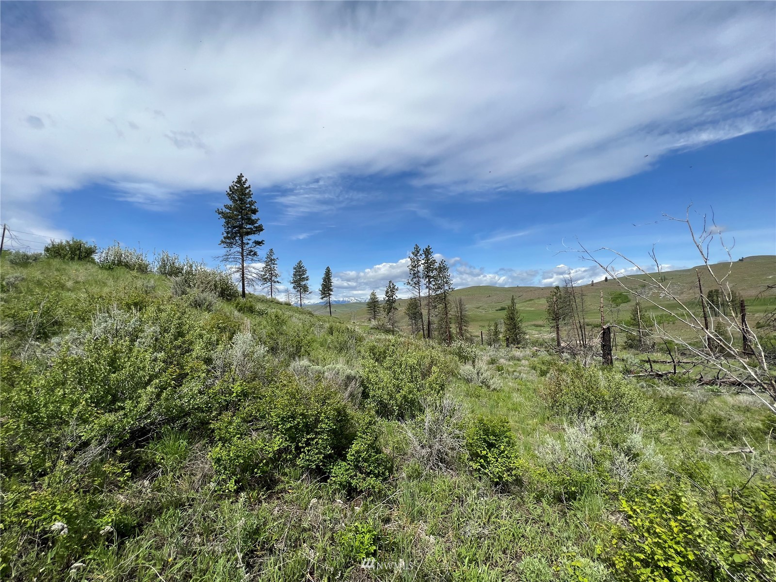 20870 State Rte 20 Twisp, WA 98856 - Photo 3 of 40 Gallery Image 3