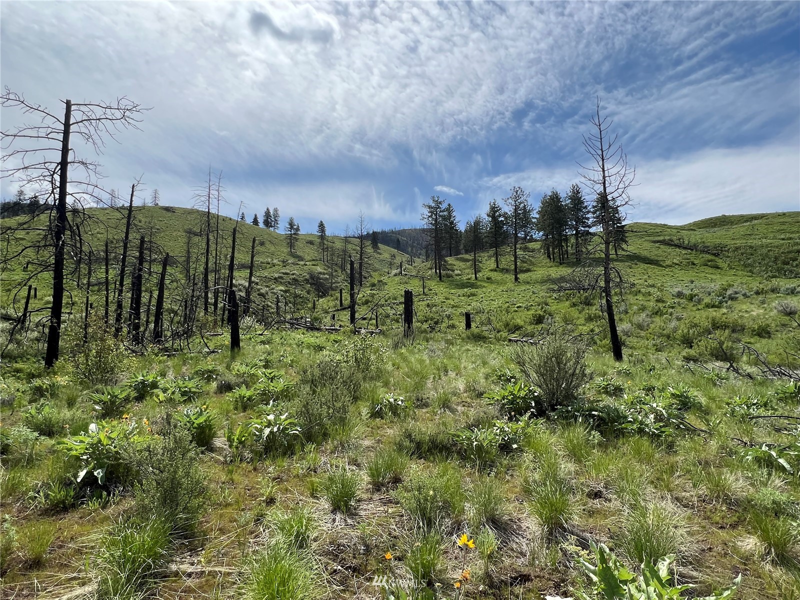20870 State Rte 20 Twisp, WA 98856 - Photo 10 of 40 Gallery Image 10