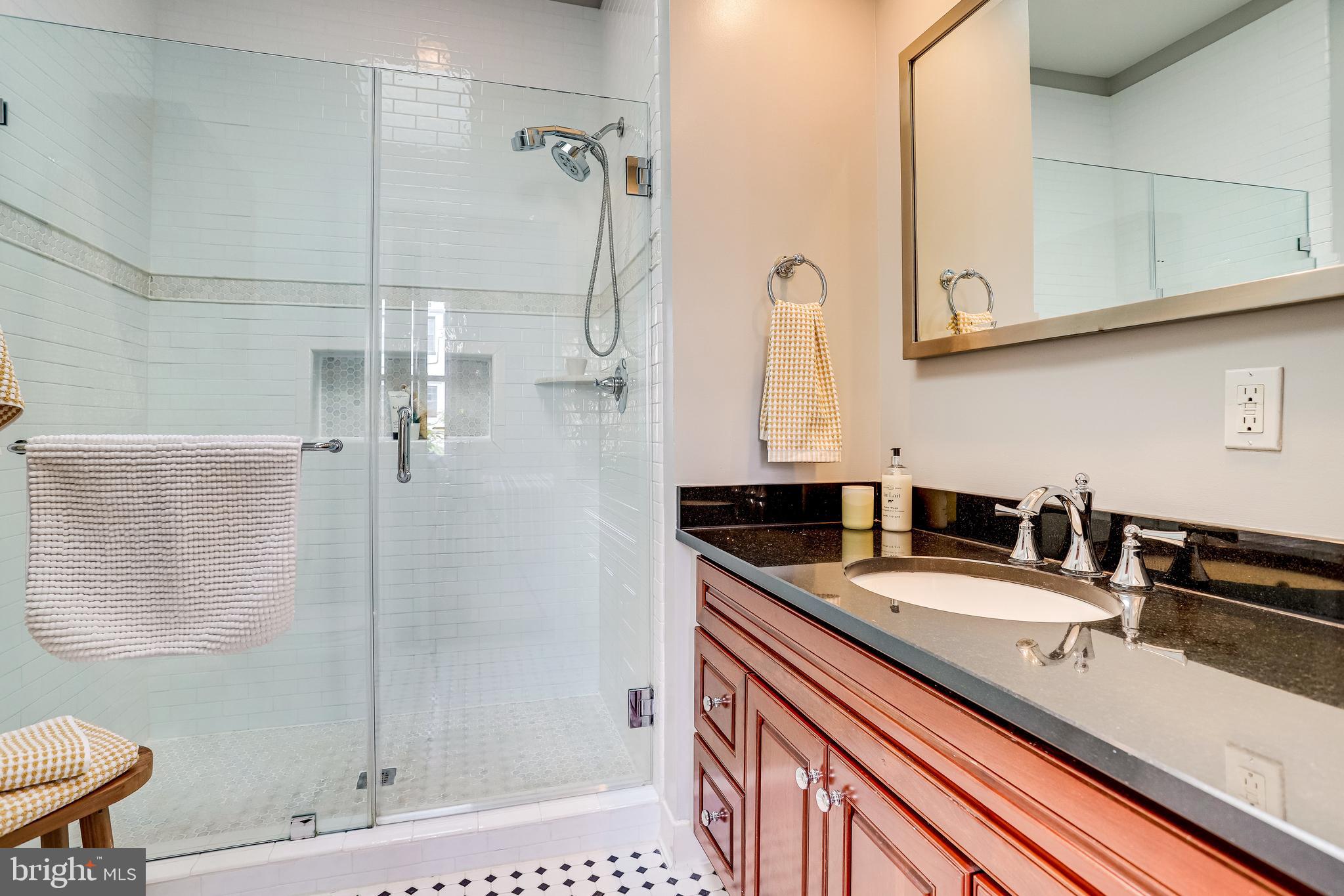 143 E Street Southeast Washington, DC 20003 - Photo 26 of 59 Large vanity in skylit ensuite bathroom