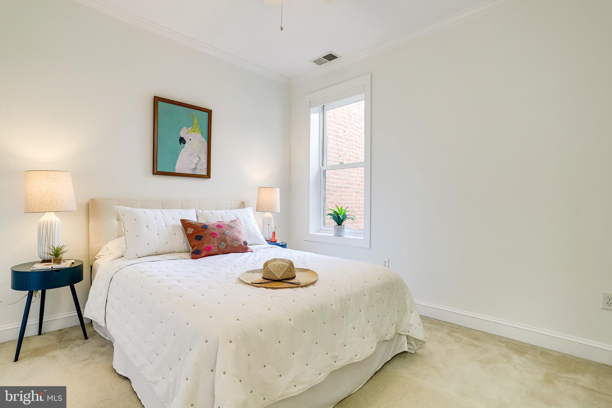 143 E Street Southeast Washington, DC 20003 - Photo 29 of 59 Bright spacious 2nd BR w/carpet for toasty toes