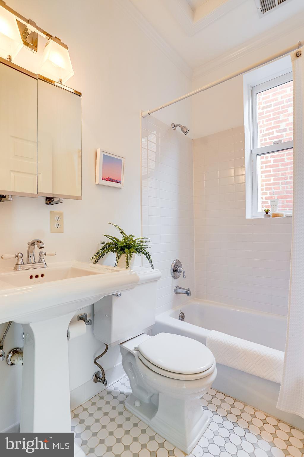143 E Street Southeast Washington, DC 20003 - Photo 32 of 59 Bright 2nd bathroom has pedestal sink