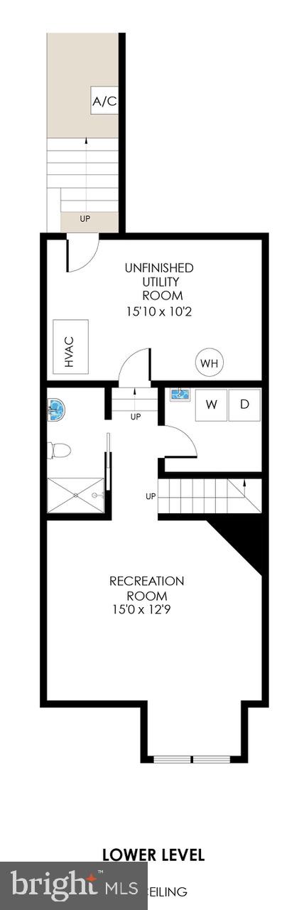 143 E Street Southeast Washington, DC 20003 - Photo 59 of 59 Lower level floor plan
