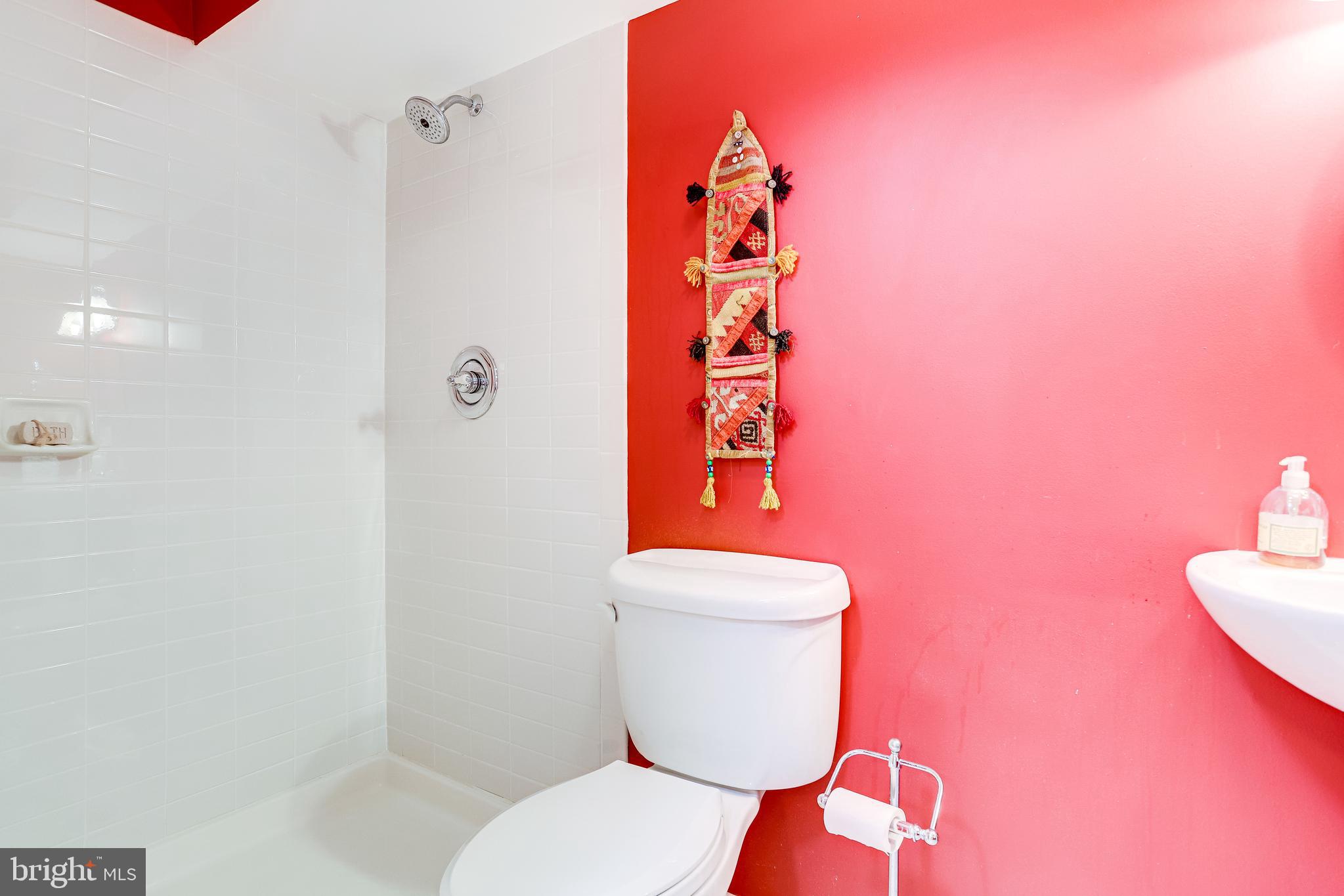 143 E Street Southeast Washington, DC 20003 - Photo 42 of 59 3rd BA in basement, great for guests