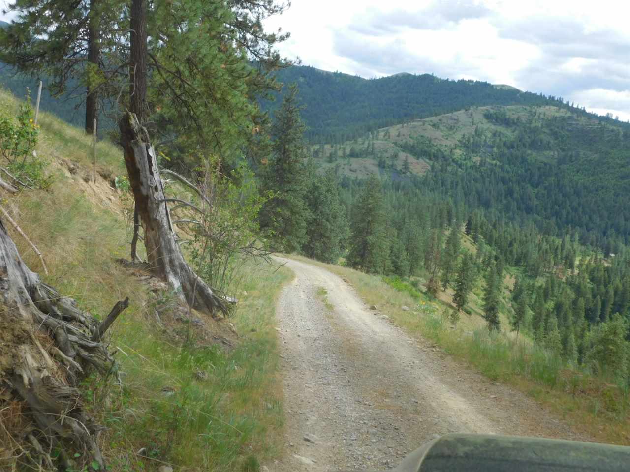 Tbd Tbd Wolf Way Hunters, WA 99137 - Photo 14 of 20 Gallery Image 14