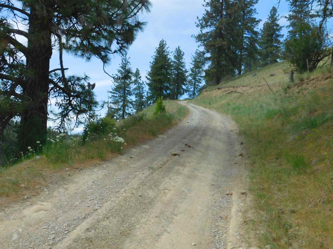 Tbd Tbd Wolf Way Hunters, WA 99137 - Photo 15 of 20 Gallery Image 15