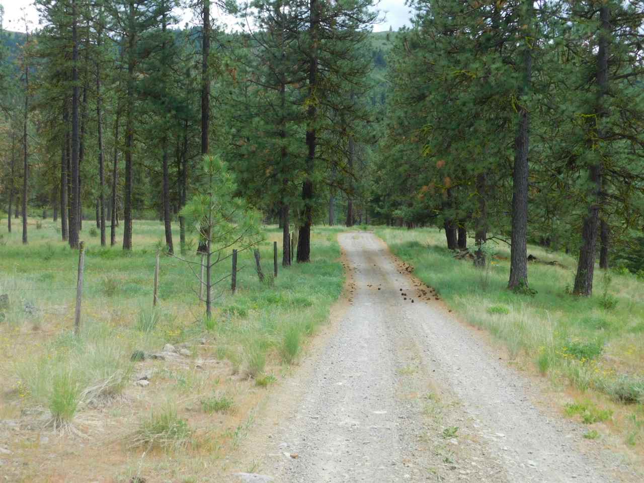 Tbd Tbd Wolf Way Hunters, WA 99137 - Photo 16 of 20 Gallery Image 16