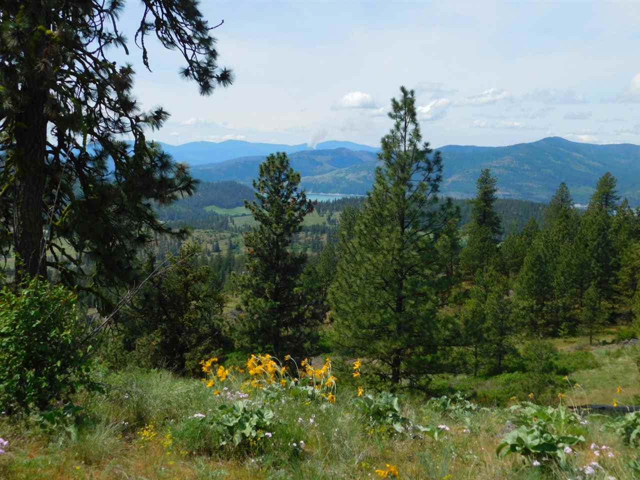 Tbd Tbd Wolf Way Hunters, WA 99137 - Photo 19 of 20 Gallery Image 19