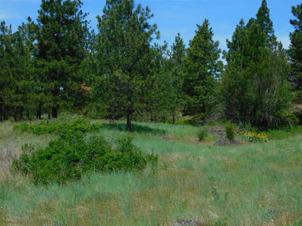 Tbd Tbd Wolf Way Hunters, WA 99137 - Photo 20 of 20 Gallery Image 20
