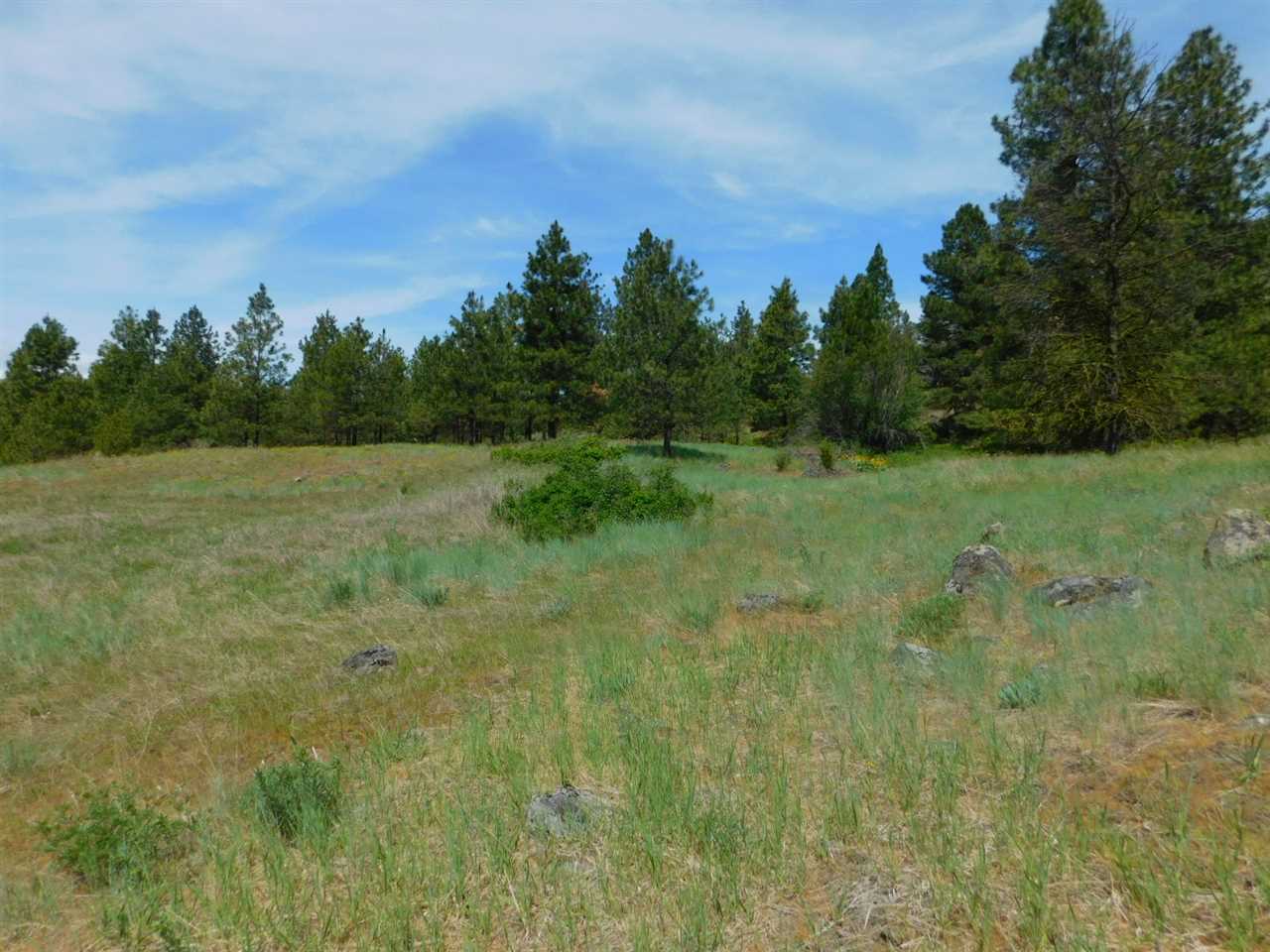 Tbd Tbd Wolf Way Hunters, WA 99137 - Photo 4 of 20 Gallery Image 4