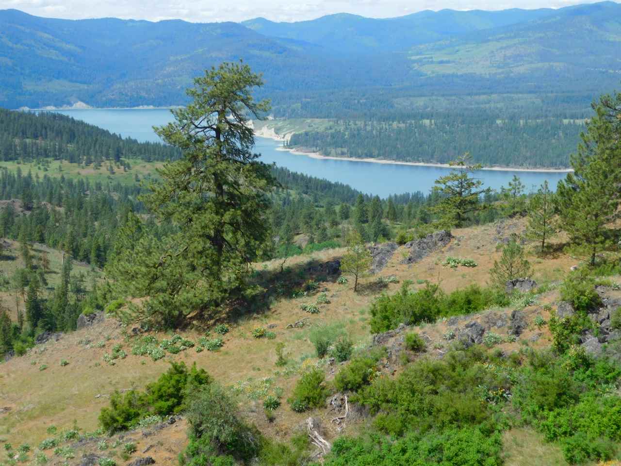 Tbd Tbd Wolf Way Hunters, WA 99137 - Photo 5 of 20 Gallery Image 5