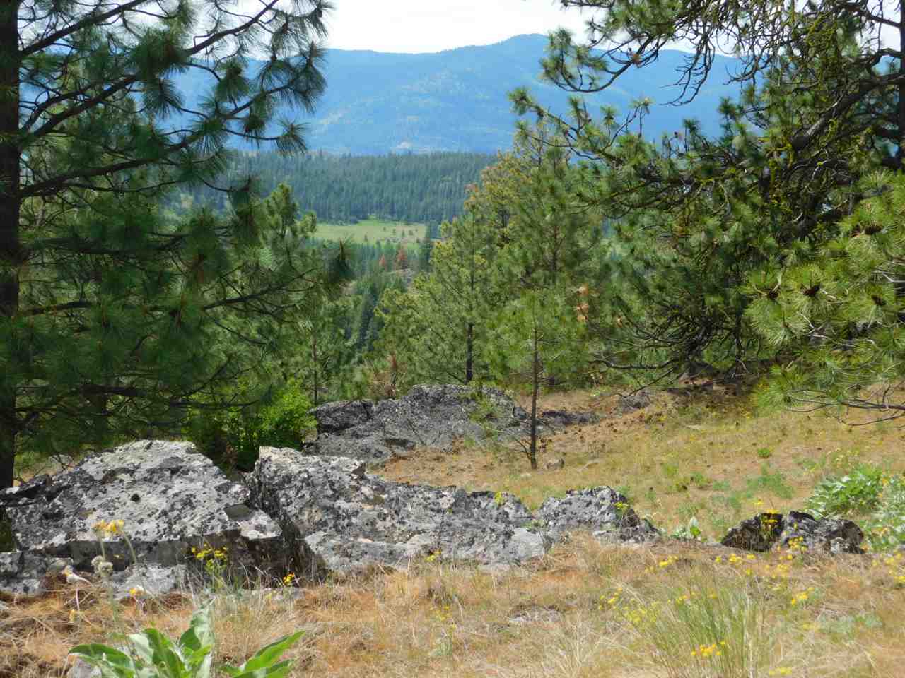 Tbd Tbd Wolf Way Hunters, WA 99137 - Photo 9 of 20 Gallery Image 9