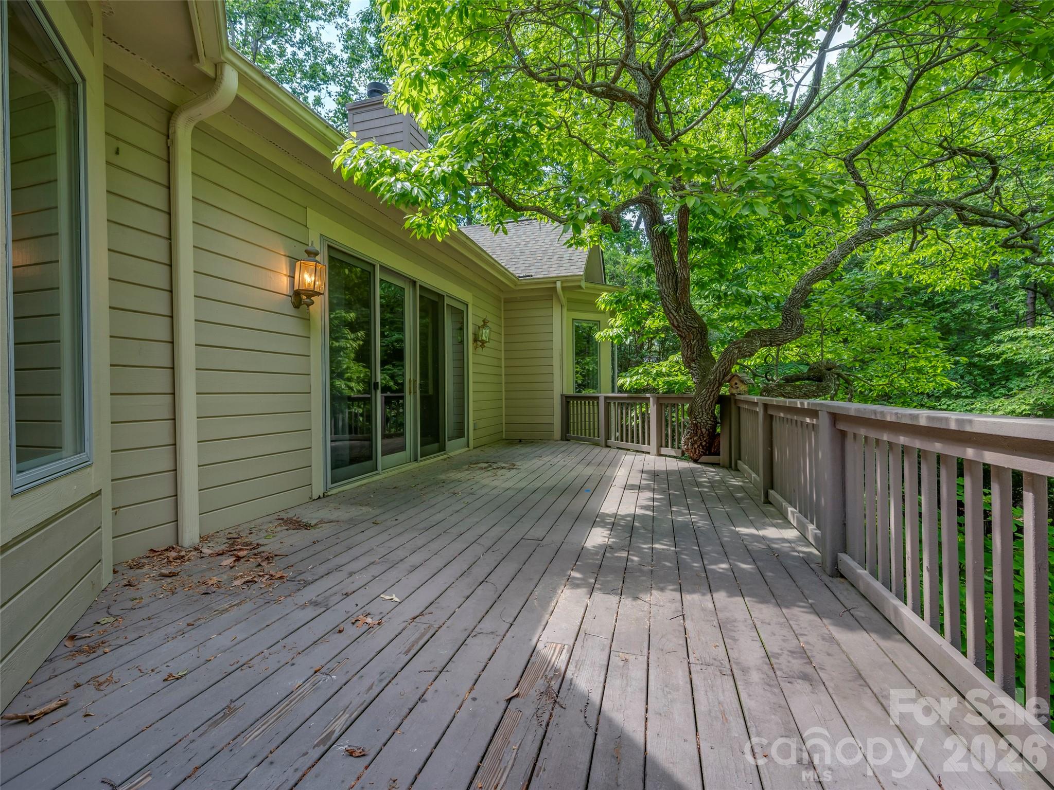 110 Little Cherokee Ridge Hendersonville, NC 28739 - Photo 36 of 47
