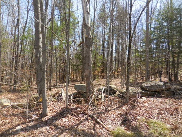 0 Cone Road Chester, MA 01011 - Photo 5 of 12 Gallery Image 5