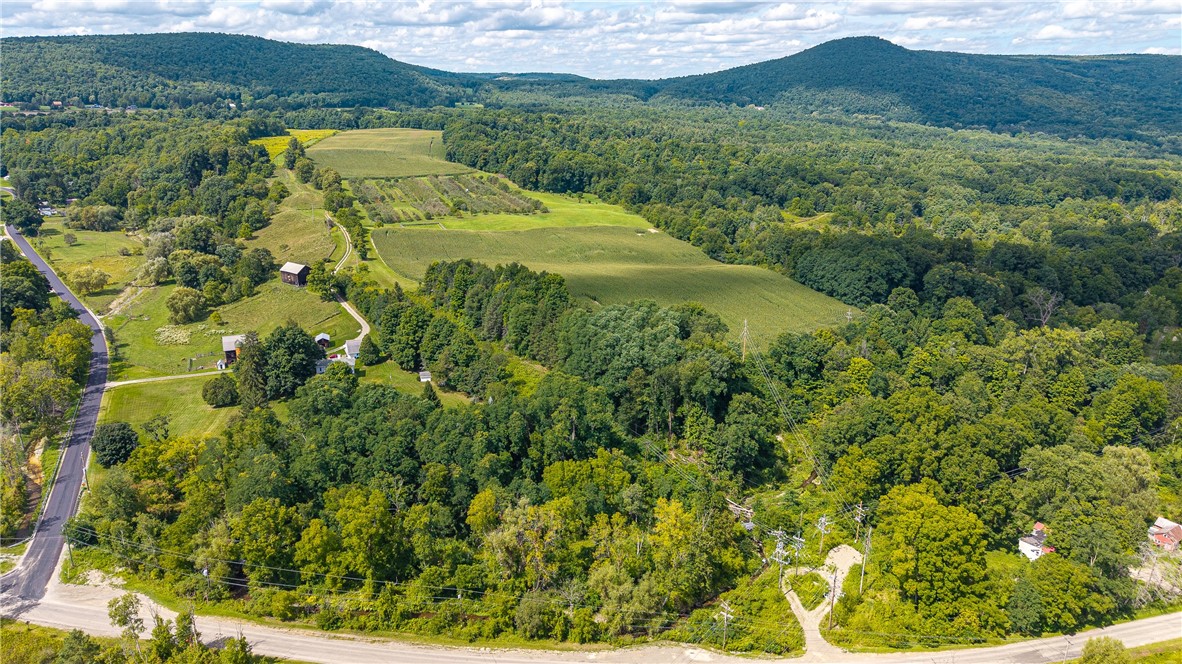 7780 Cold Springs Road Bath, NY 14810 - Photo 46 of 50 Rolling green hills and dense forests surround this sprawling rural acreage under a bright summer sky.