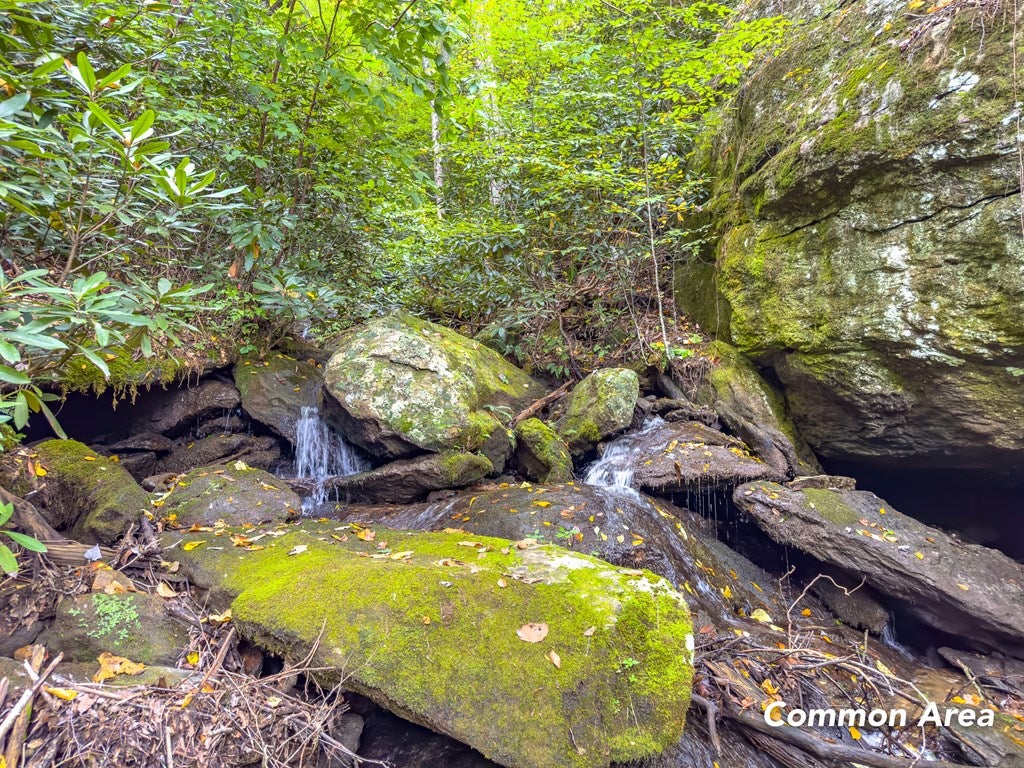 Lot 104 Spring Pond Trail, Unit 104 Fancy Gap, VA 24328 - Photo 31 of 54 Gallery Image 31