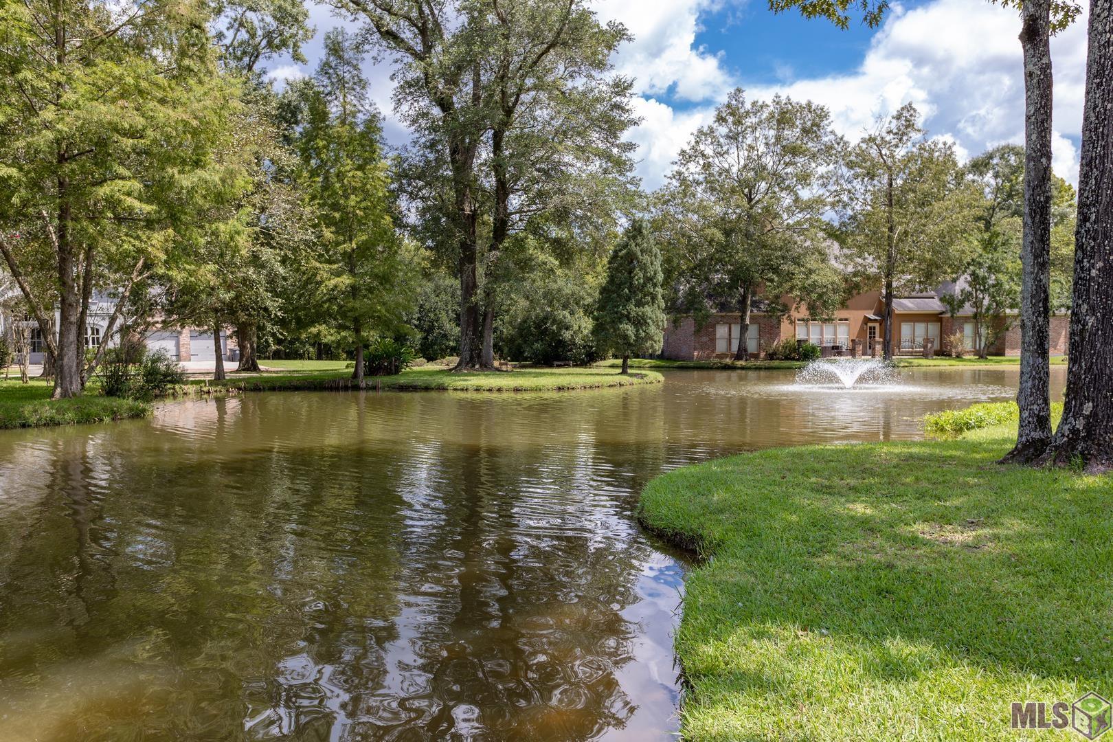 19629 South Harrells Ferry Road Baton Rouge, LA 70816 - Photo 41 of 43