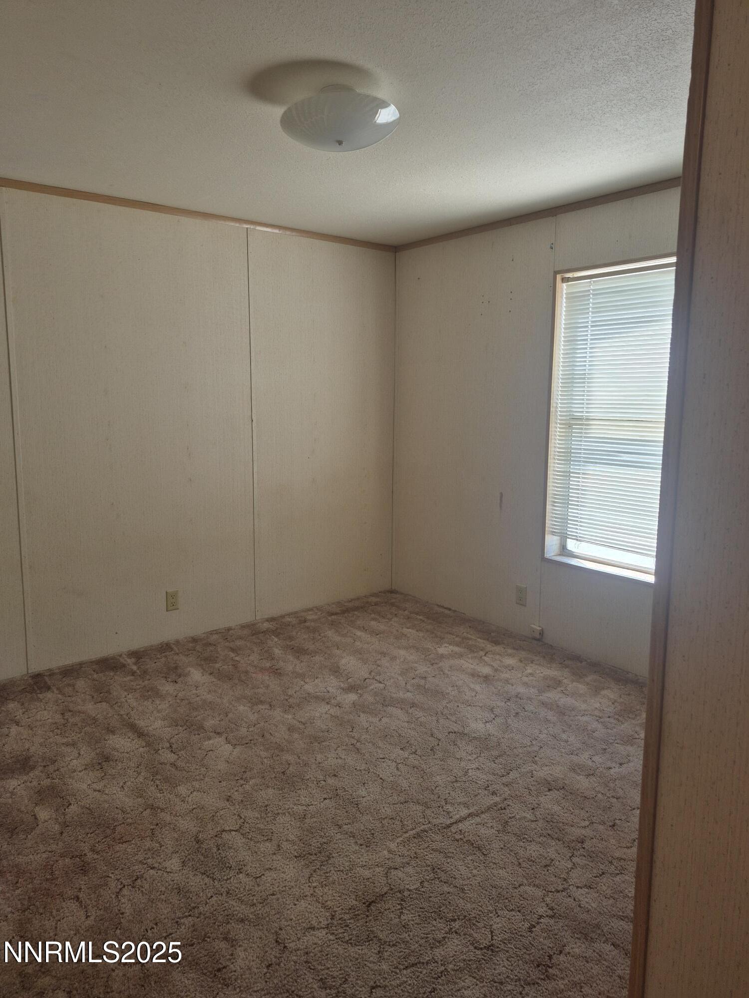 610 Sutro Springs Road Dayton, NV 89403 - Photo 8 of 14 20250926_124634